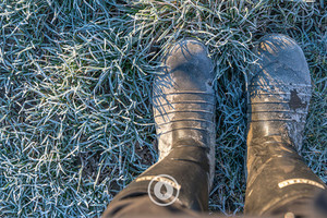 The Icy Pasture Underfoot Sentient Imagery