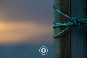 Products: Fishing Knots Sentient Imagery