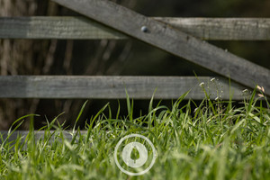 Pasture at Gate's Latch Sentient Imagery