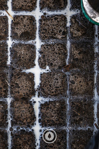 Products: Milk Veins Sentient Imagery