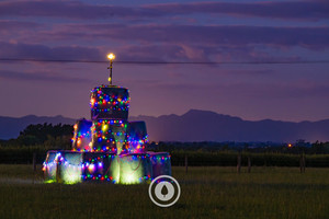 Christmas in the Kaimais Sentient Imagery