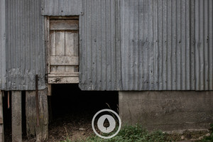 A Door to the Past Sentient Imagery