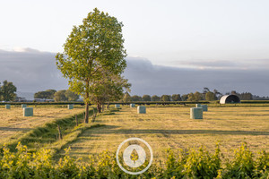 October Bales Sentient Imagery