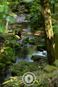 Products: Discovering our Waitapu Sentient Imagery