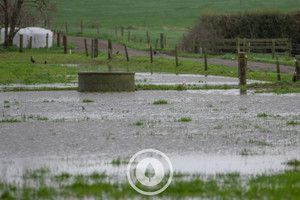 Products: Waterlogged Sentient Imagery