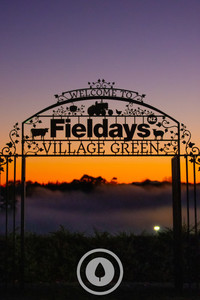 Products: Fieldays Wrought Iron Sentient Imagery