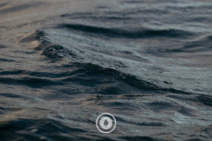 Products: Moody Swoop Sentient Imagery