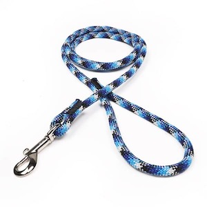 Blue Snake - Serious Paracord