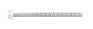 Screwbolts: Bottom Plate Screw Bolt - White Head
