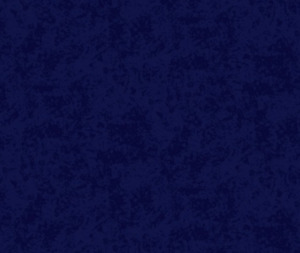 Quilting Fabric: Shadows Navy - 100% Cotton - 10cm Increments