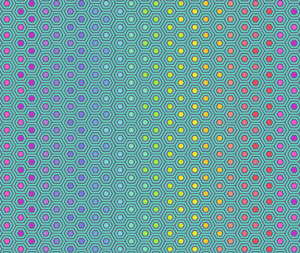 Tula Pink Hexy Rainbow 100% Cotton Fabric - 10cm Increments