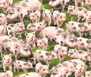 On The Farm: Farmyard 100% Cotton Fabric - 1/2 Metre