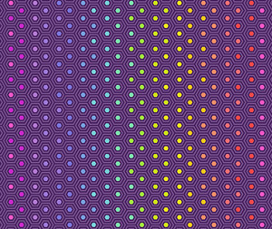 Tula Pink - Hexy Rainbow Starling - 0.1m 100% Cotton Fabric