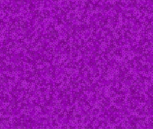 Plains And Blenders: Mollys Magic - Fairy Rings Aster Purple