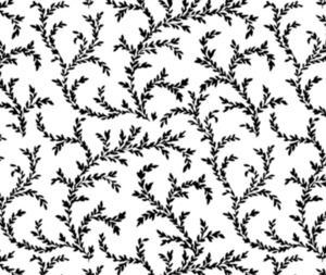 Salt and Pepper Black Vines on White