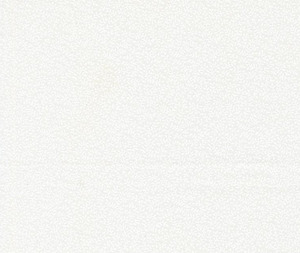 Floral Designs: Winding Leaves Porcelain White - 0.1m