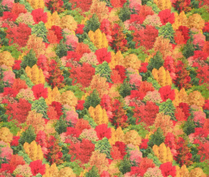 Landscape Medley 100% Cotton Fabric - 10cm Increments