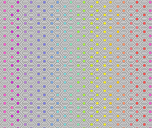 Tula Pink Hexy Rainbow Dove - 0.1m