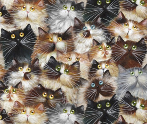 Fabric: Wide Quilt Back Cats - 0.1m