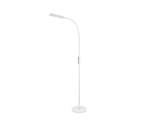 Triumph Led Floor Lamp with Remote Control