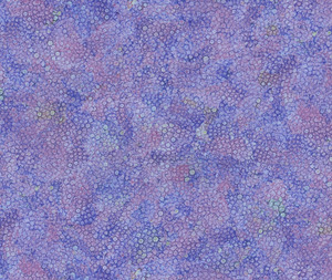 Fabric: Bubble Texture Lavender - 0.1m - CD3212-Lavender