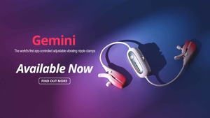 Products: Lovense Gemini Review