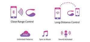 Products: Lovense Lush 2 Review