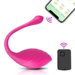 APP Bluetooth Controlled Vibrator Clit Stimulator Love Eggs for Women