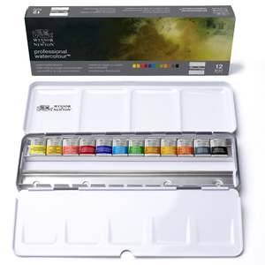 Winsor Newton Professional Watercolour: WN Professional WC 12 Half Pan set