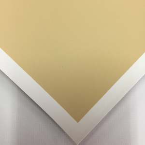 Pastel Paper: Colourfix 340g 50 x 70cm Rich Beige (Sheet)
