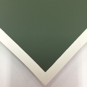Pastel Paper: Colourfix 340g 50 x 70cm Leaf Green Dark (Sheet)