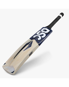 Products: DSC Blak 330 Kashmir Willow Junior Cricket Bat