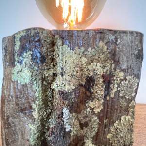 Lichen Wood Table Lamp | Handcrafted Tōtara Lamp #183
