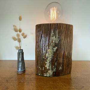 Edison On Wood: Handcrafted Wood Table Lamp with Natural Lichen | Rustic Edison Bulb Lamp #188