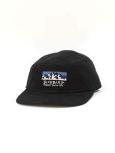 New: BLUEBIRD 5 PANEL