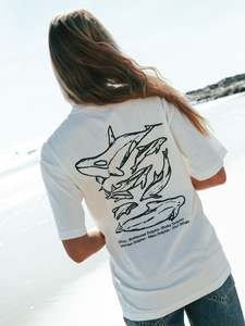 Box Tees: DOLPHINS T-SHIRT