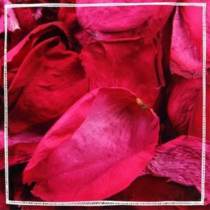 Medicinal Herbal Teas: Rose Petals