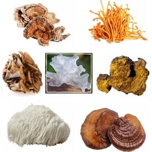 Natural: Customizable Mushroom Powder Blend