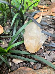 Crystals: Elestial Quartz Point