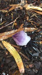 Amethyst: Amethyst Point Large