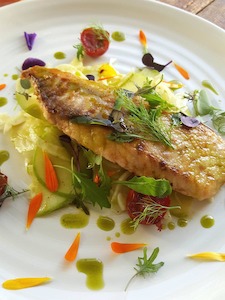 Products: Cooking class at Te Matuku Oysters – scrumptious food & wine