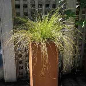 Corten Steel Planters