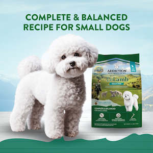 Dog Food: Addiction Le Lamb Small-Breed Dog Food