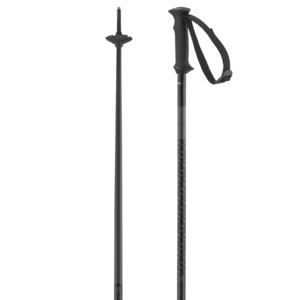 Salomon Polar Access Ski Poles