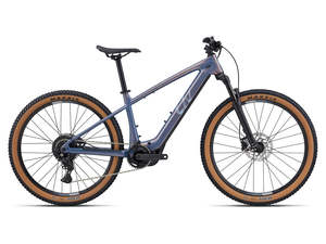 Bike Bikes Frames: Liv Tempt E+ Hardtail E-Bike
