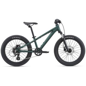 Giant STP 20 FS Kids Bike