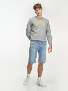 Apparel & Accessories: Levi's Men's 405 Standard Shorts