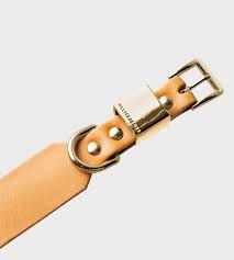 Pets Fur Babies: Ollie and James Collar Camel