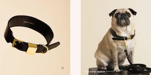 Pets Fur Babies: Ollie & James Collar - Black