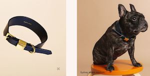 Pets Fur Babies: Ollie & James Collar - Ink Blue